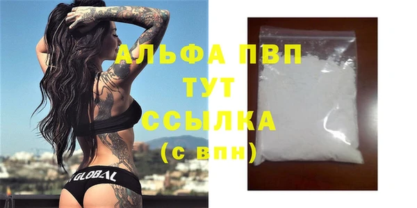 твердый Абаза