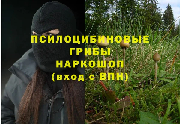 ALPHA PVP Абдулино