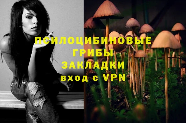 твердый Абаза
