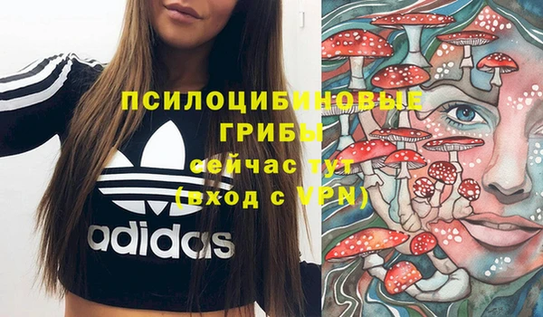 PSILOCYBIN Наволоки