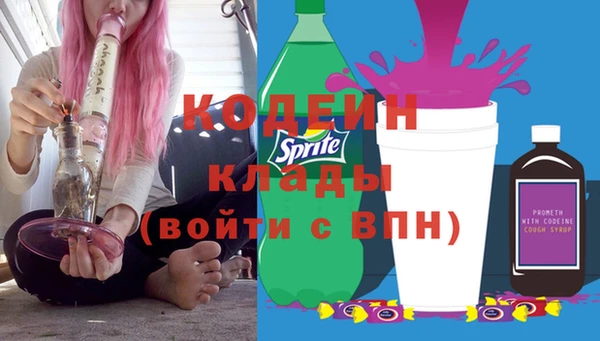 твердый Абаза