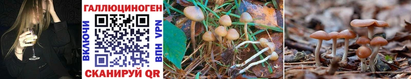 купить закладку  Новая Усмань  Галлюциногенные грибы Cubensis 
